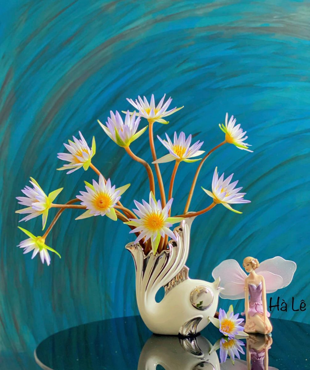 Tử vi hàng ngày - Thứ Tư 4/1/2023 của 12 cung hoàng đạo